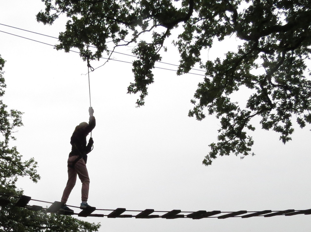 Trentham Treetop Adventures-Trentham必去景点