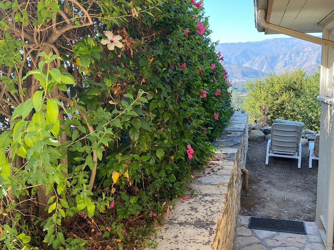 Ojai Retreat & Inn主图