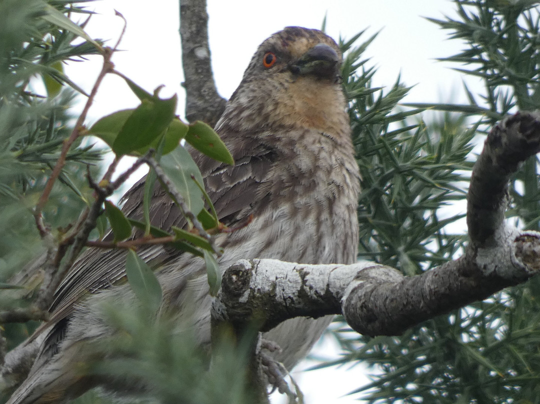 Humedal de Putemun-Castro必去景点