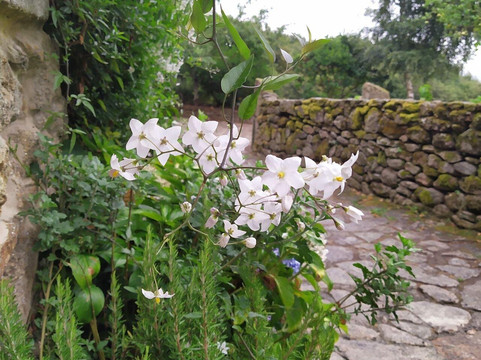 Congostro旅游攻略图片