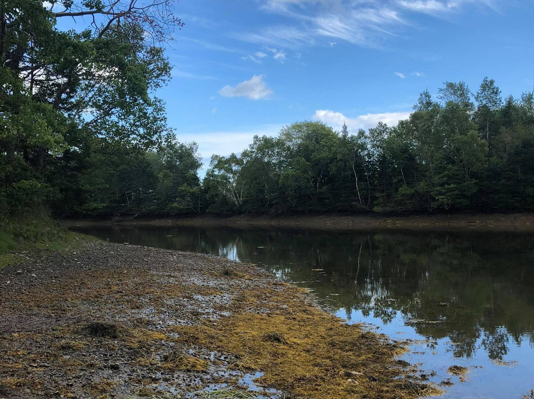 Salsman Provincial Park-Guysborough必去景点