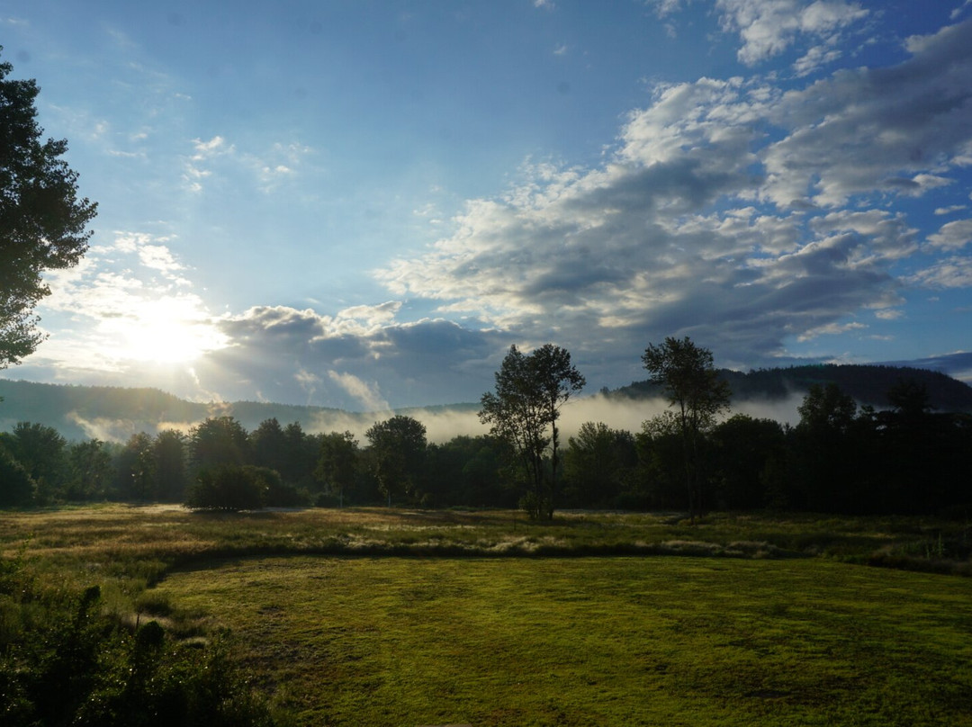 The Halfway House Motel主图