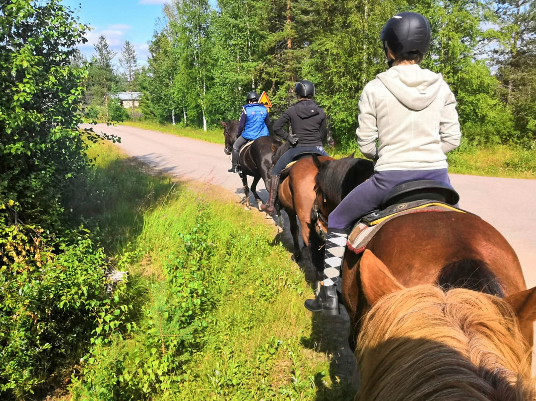 Arctic Nature Trips-罗瓦涅米必去景点
