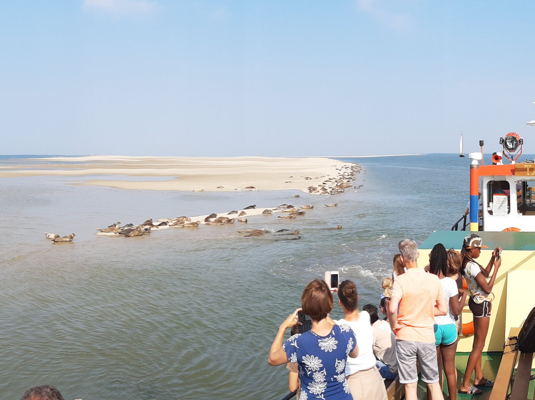 Talisman zeehondentocht Terschelling-West-Terschelling必去景点