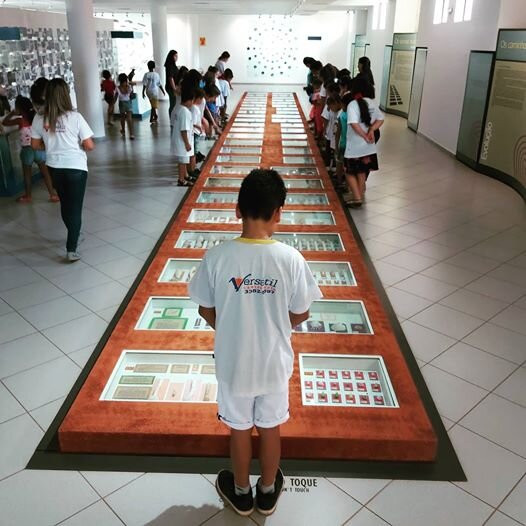 Museu Das Culturas Dom Bosco景点图片