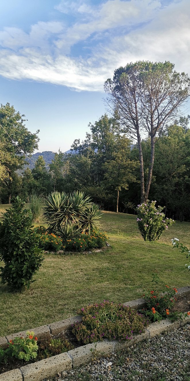 B&B Oasi Verde-官方