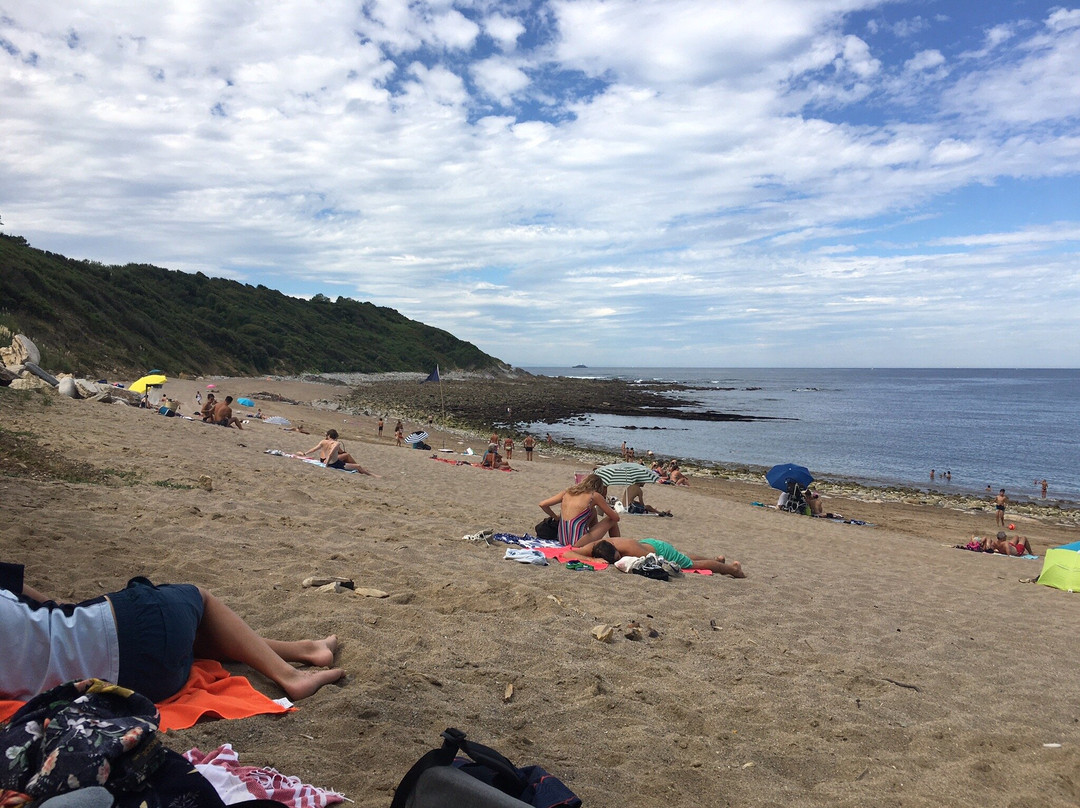 Plage de Lafitenia景点图片