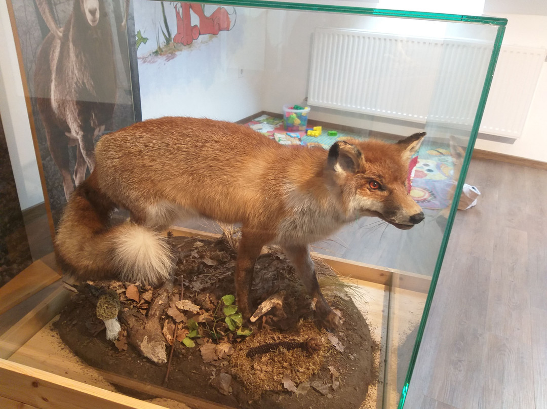 Kőhalmy Hunting Museum景点图片