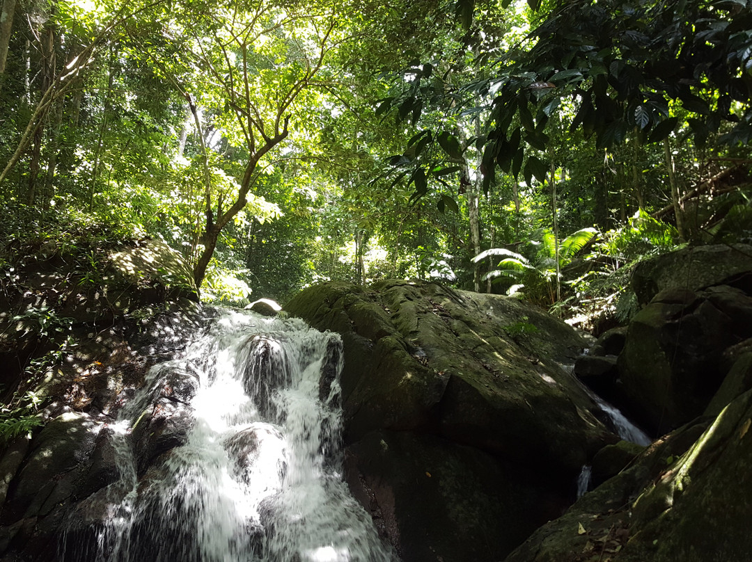 Ali's Waterfall-刁曼岛必去景点