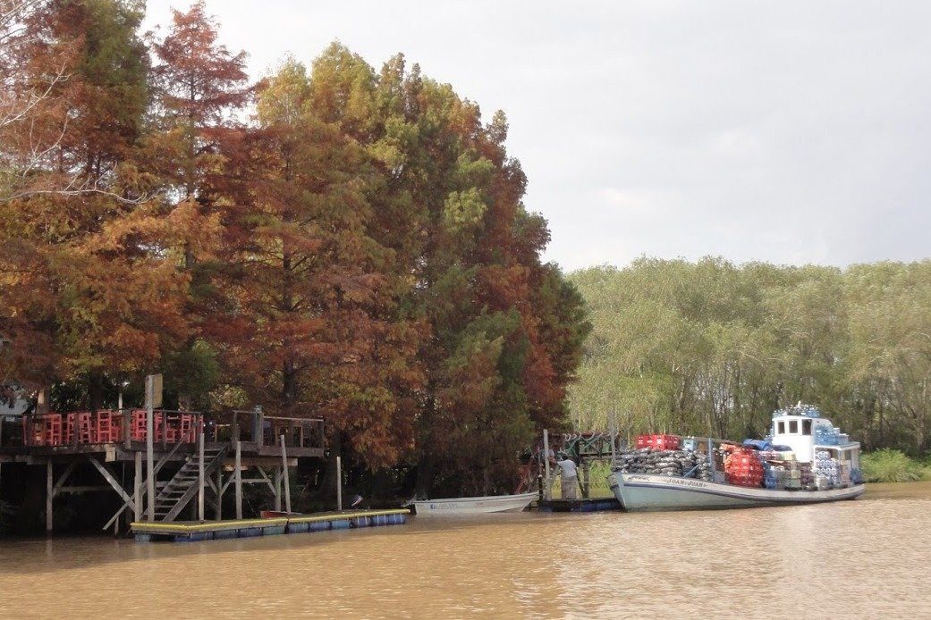 Tigre Delta Sightseeing Cruise from Buenos Aires-蒂格雷必去景点