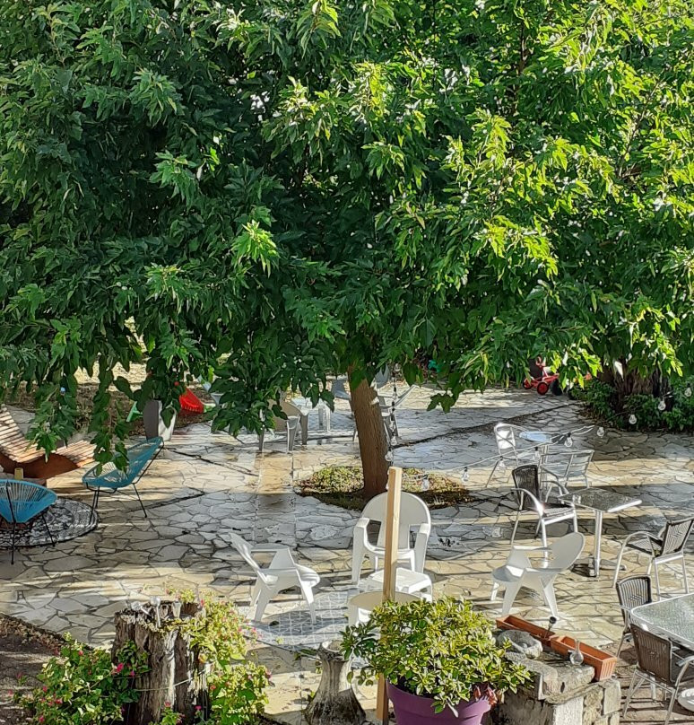 Hotel des Vieux Acacias主图