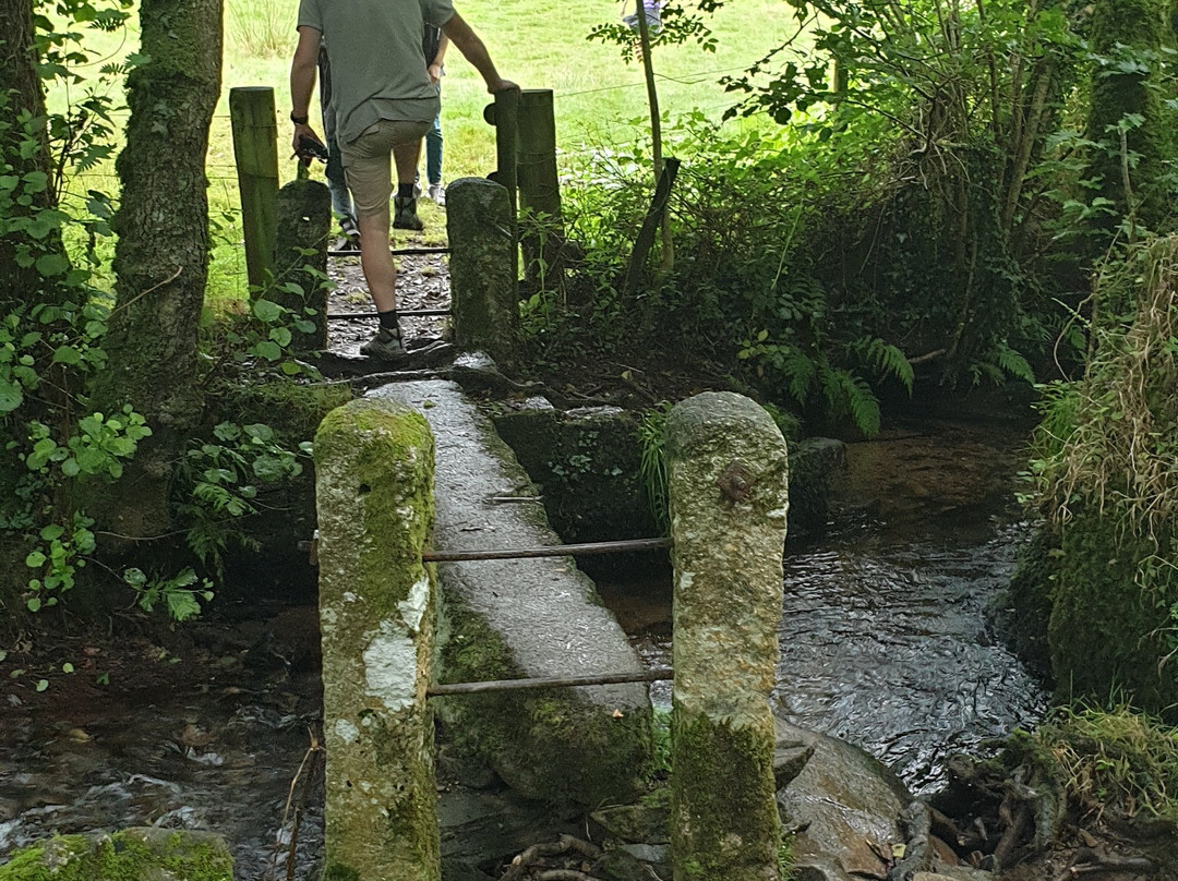 Blisland to Lavethan Wood Circular Walk景点图片