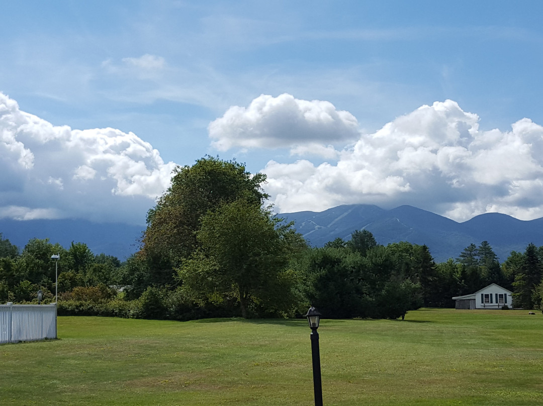 Gale River Motel and Cottages主图