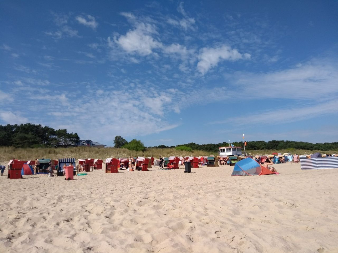 Trassenheider Strand景点图片