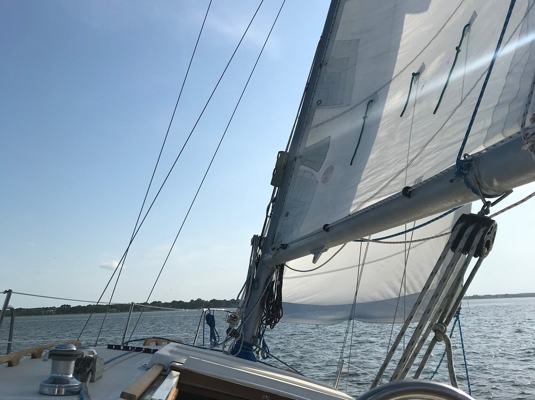 Pelican Tours-查尔斯顿必去景点