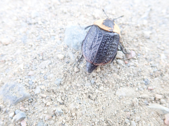 Wakami Lake Provincial Park-Sudbury必去景点