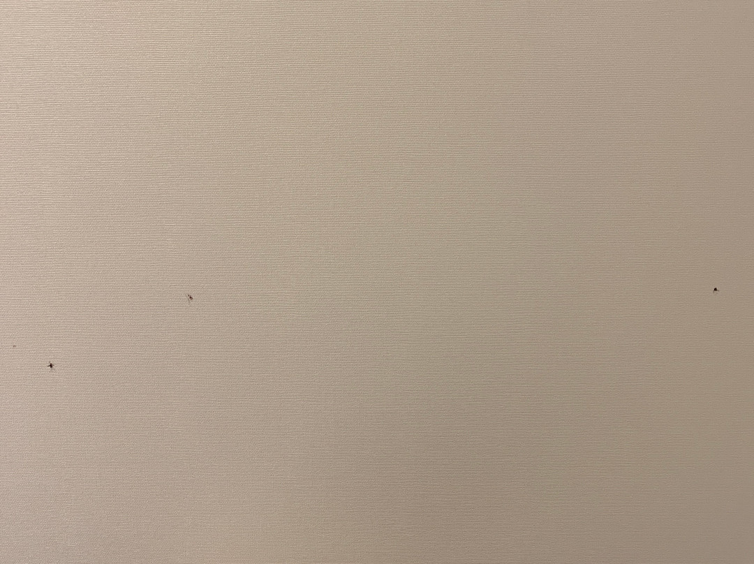 Hotel Klub Sosnowy主图