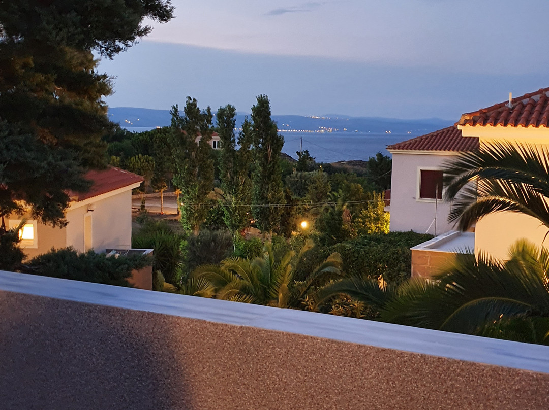 Tsipouri Gorgona主图