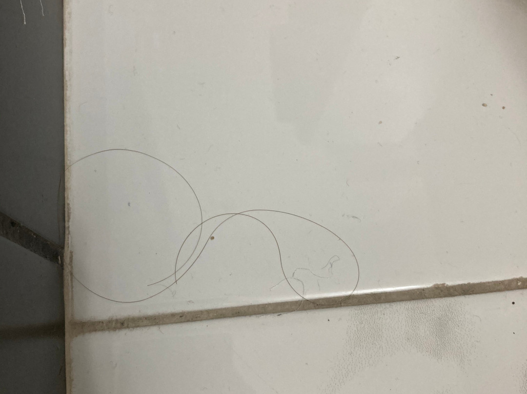 Minimal Culture主图