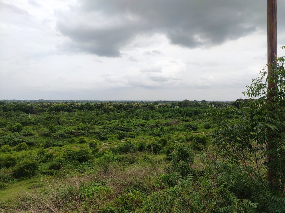 Singur Dam景点图片