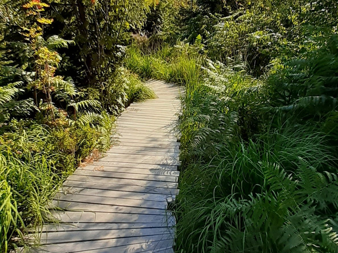 Lotharpfad-拜尔斯布龙必去景点