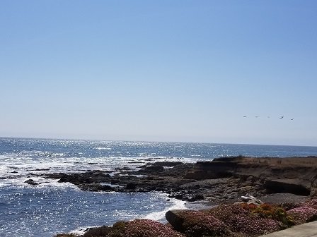 The Tides Inn of Shelter Cove-酒店景观
