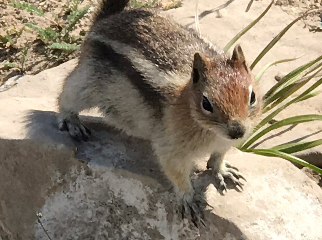 格兰德塔吉洛奇度假村主图
