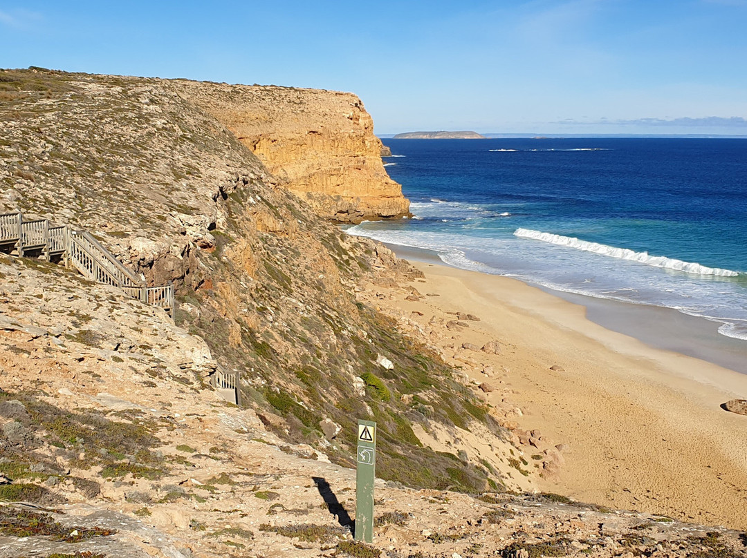 Ethel Wreck Lookout-Inneston必去景点