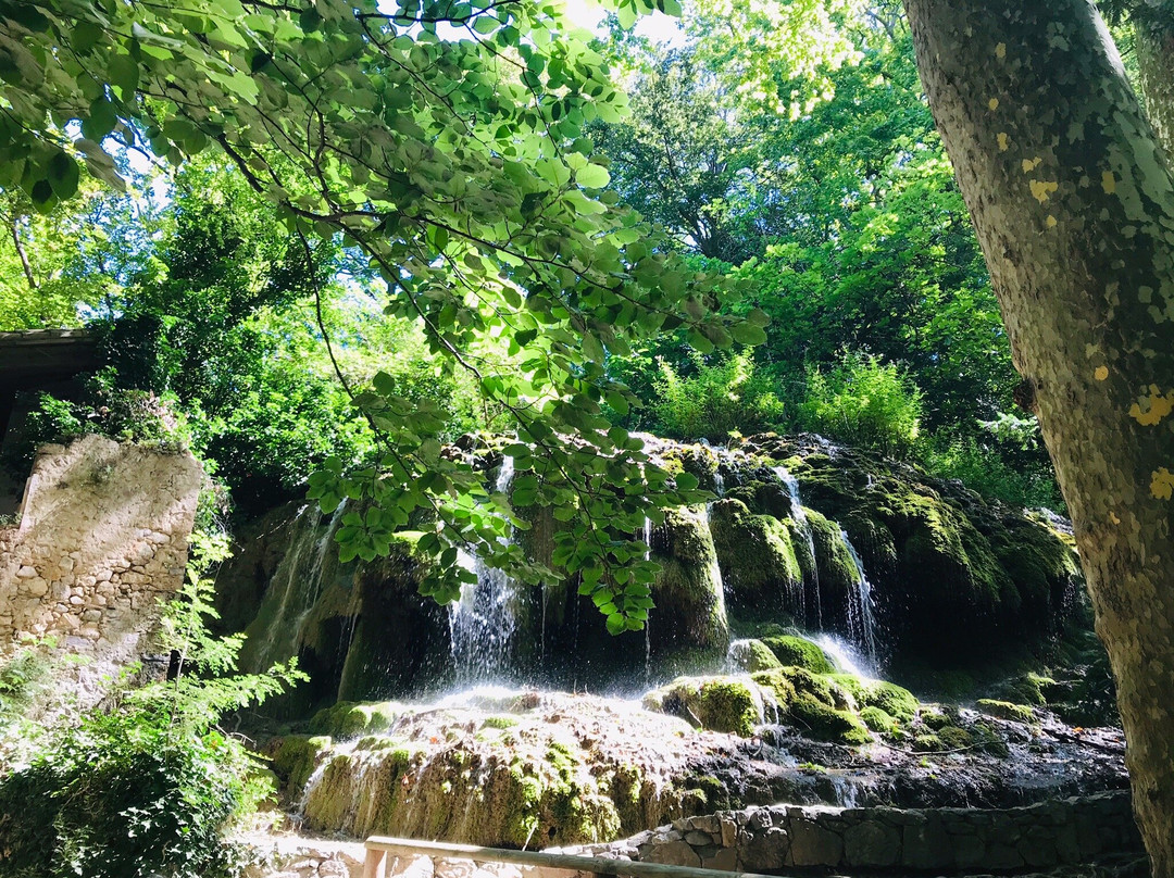 Parc de Saint-Pons景点图片