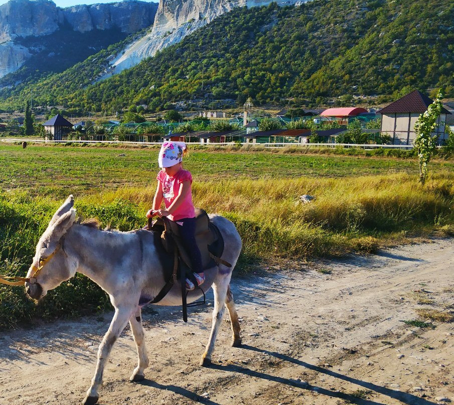 Maloye Sadovoye旅游攻略图片