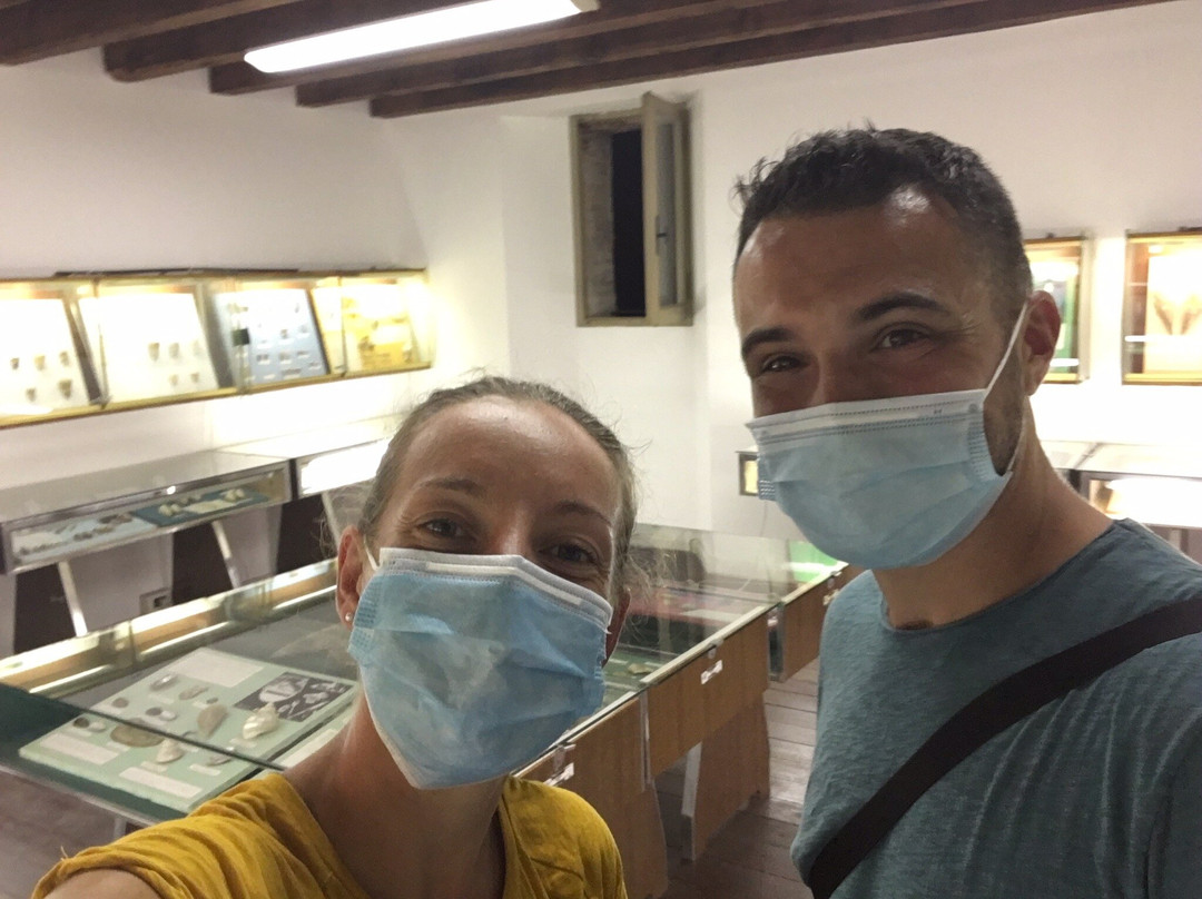 Museo delle Conchiglie景点图片