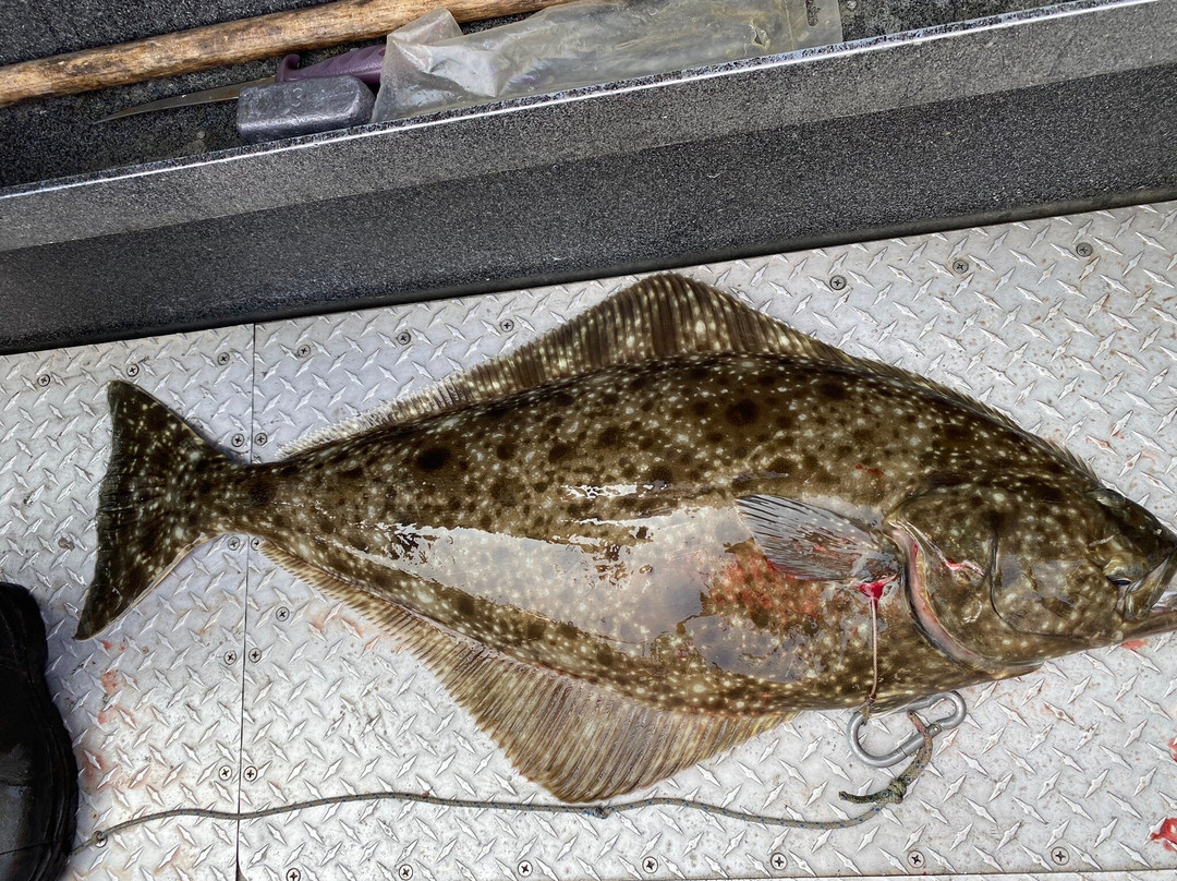 Discover Alaskan Adventures-尼尔奇克必去景点