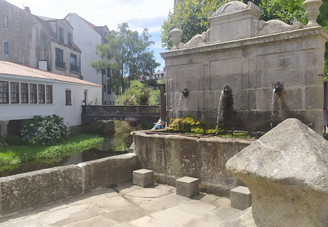 Carballeira de Caldas de Reis景点图片