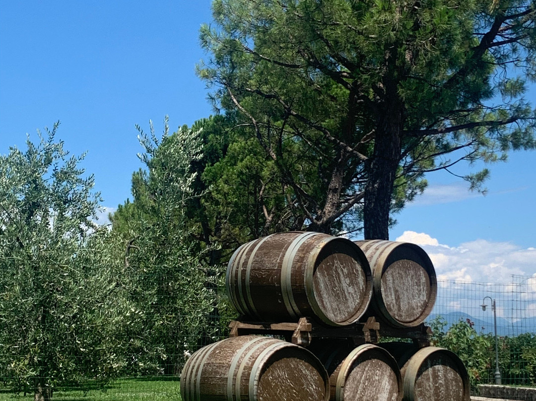 Azienda Agricola Provenza-代森扎诺-德尔加达必去景点