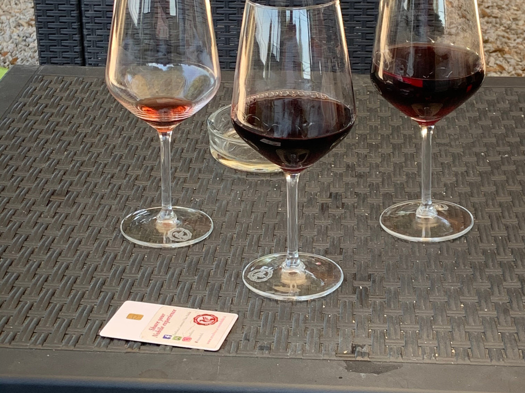 Enoliteca Consorzio Vino Nobile-蒙特普尔恰诺必去景点