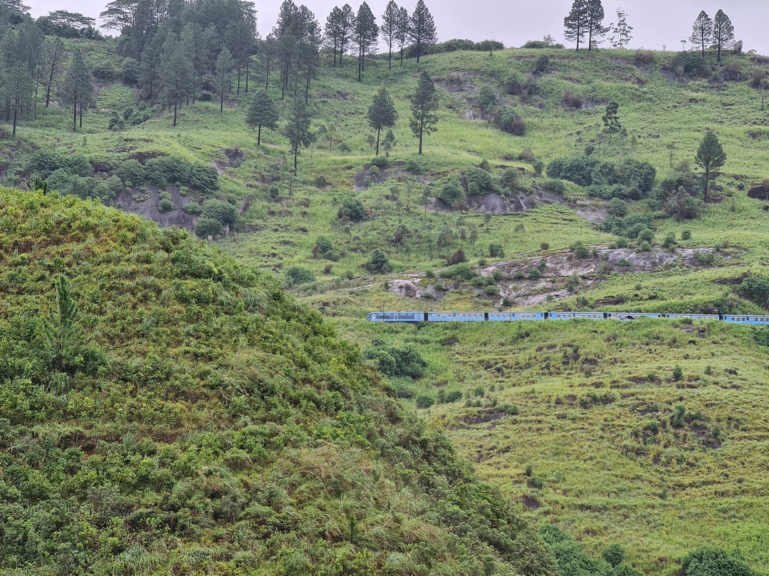 Trinitons Tea View Lake Resort主图