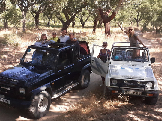 Look Around Tours-塞新布拉必去景点