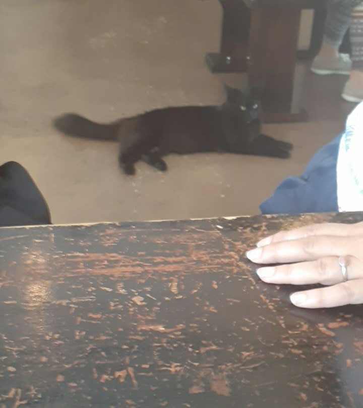 Blackadder Brewing Company-盖恩斯维尔必去景点