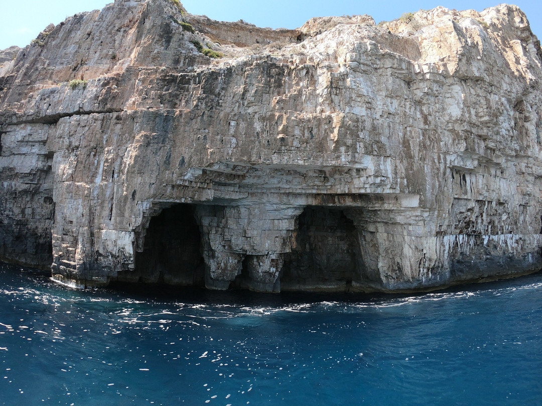 Aquamarine boat tours景点图片