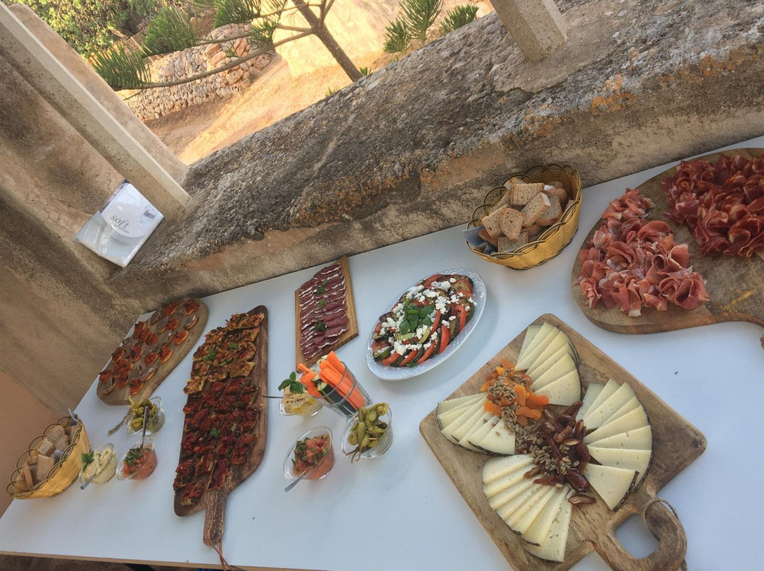 Mallorca Wine Tours景点图片