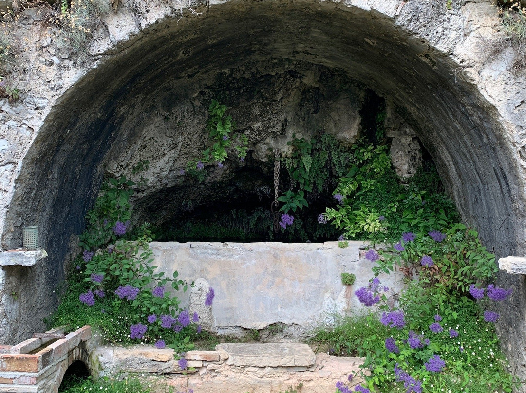 La Petite Nice主图