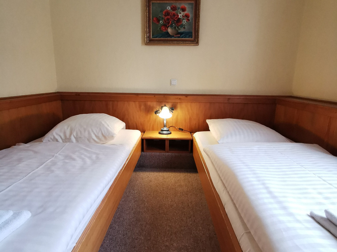 Wirtshaus zum Schutzenhof主图