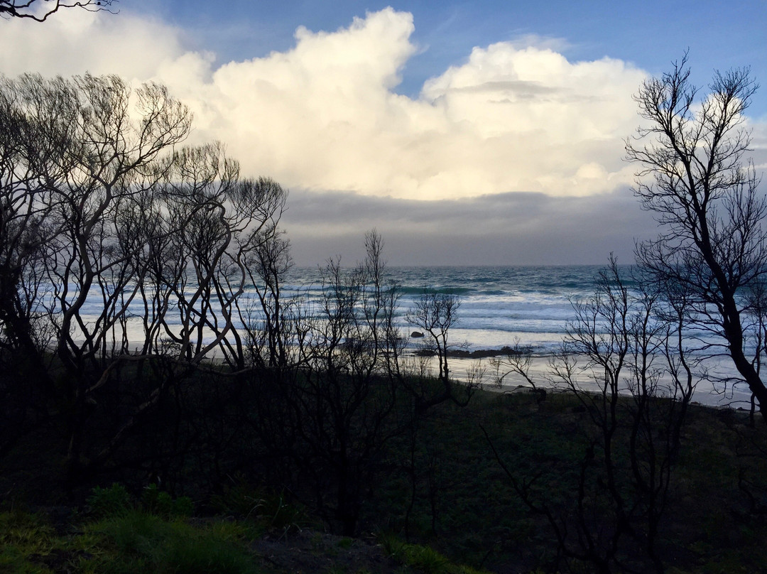 East Cape Beach景点图片