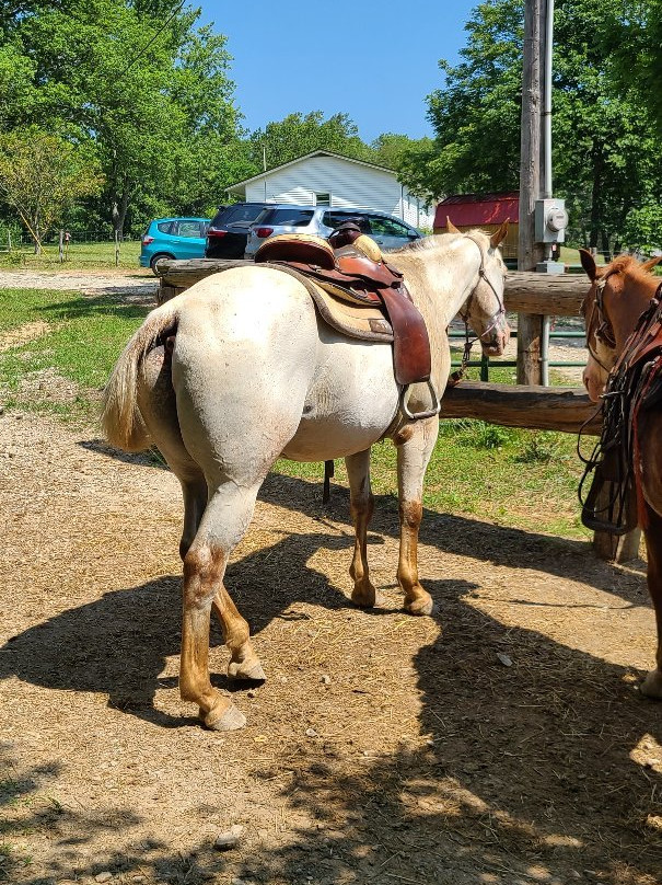 Morgantown旅游攻略图片