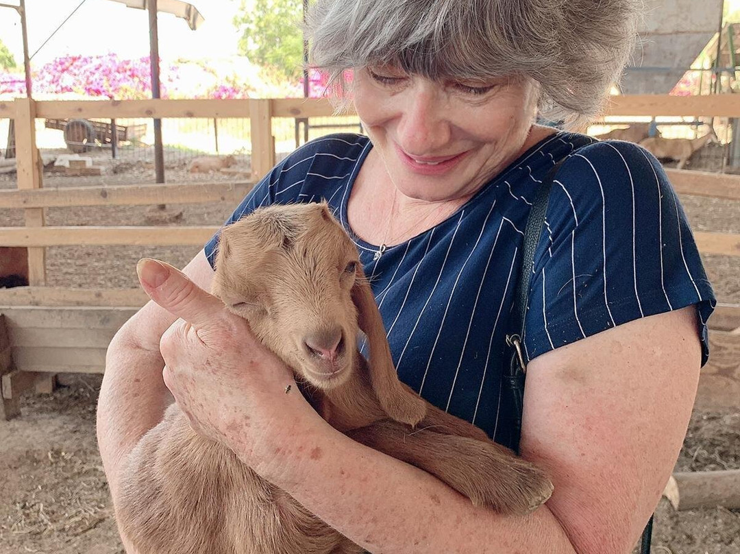 Iza Pziza Dairy-Tal Shahar必去景点