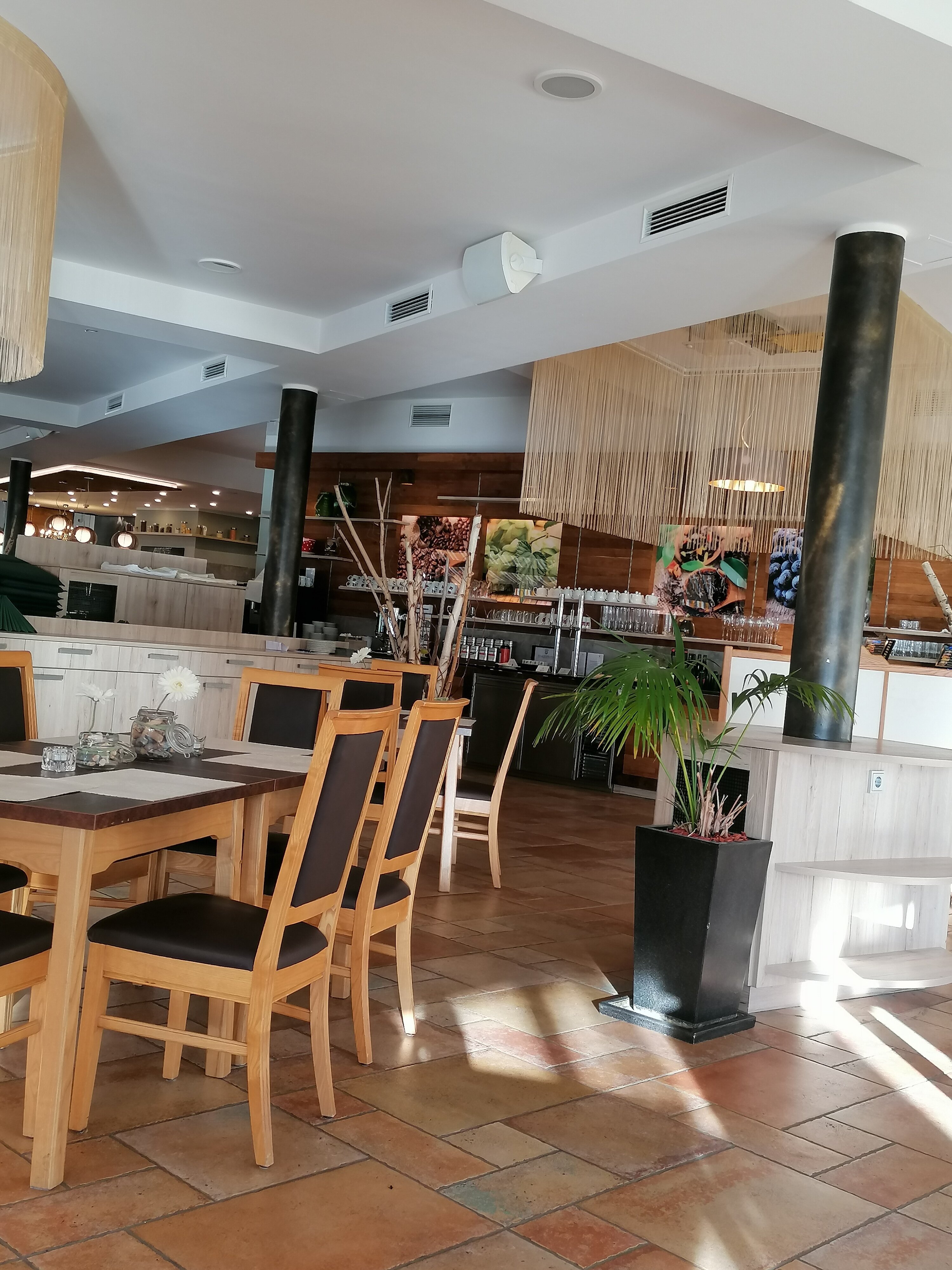 Hotel Donauschlinge-餐饮