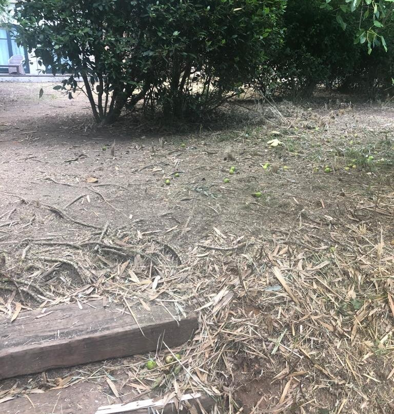 玛尔孔滕塔酒店主图