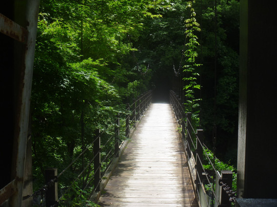Hikawako Bridge-奥多摩町必去景点