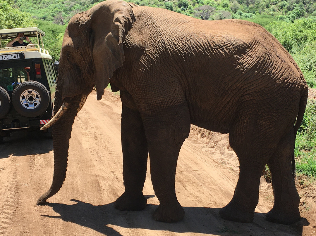 New Adventure Safaris-阿鲁沙必去景点