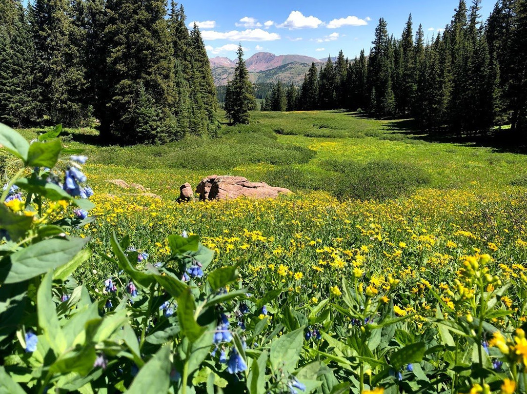 Shrine Pass Road-韦尔必去景点
